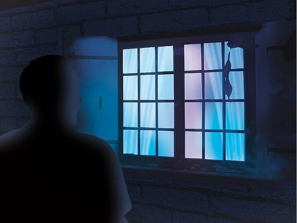 VisorTech Fernsehlicht:Premium-TV-Simulator Zur Einbrecher-Abschreckung Mit 15 LEDs Und Sound 4
