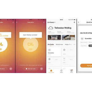 VisorTech Multi Gaswarner:WLAN-Multi-Gasmelder Für Haushaltsübliche Gase, Mit App & Sprachansage 30